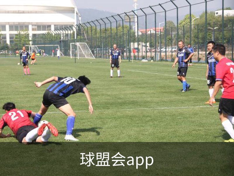 关于球盟会app
